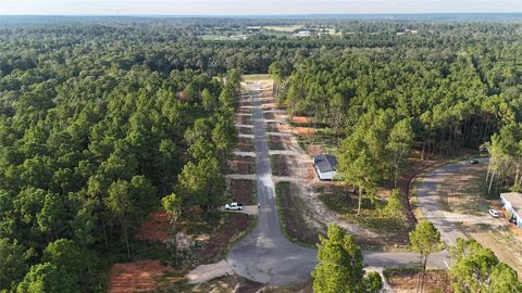 11357 Annie Creek Drive Willis TX 77378