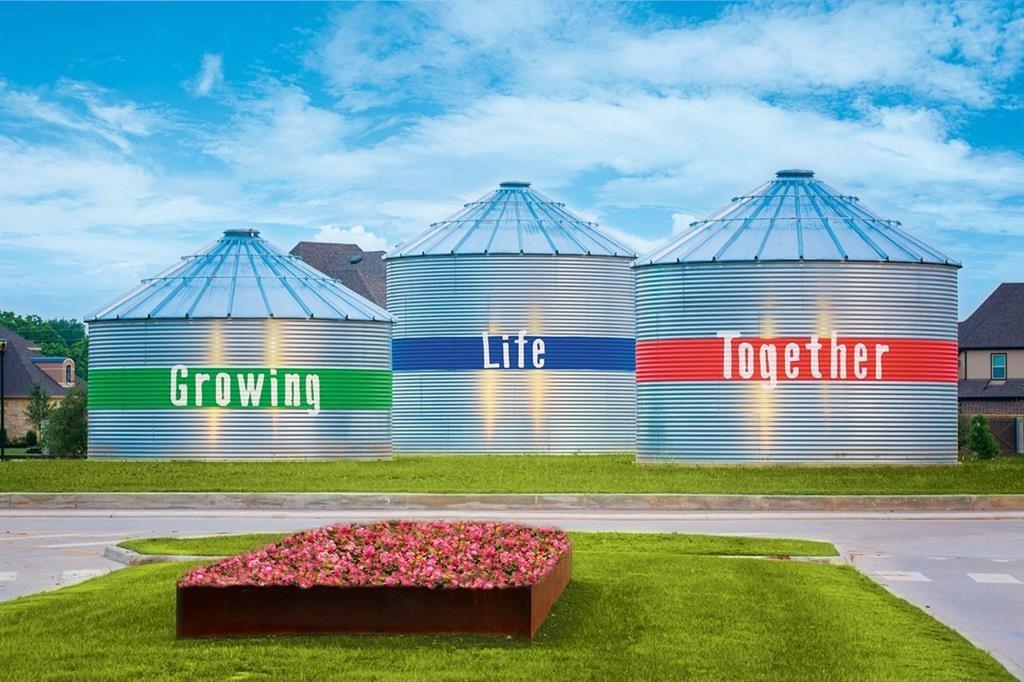 3115 Elderberry Orchard Street