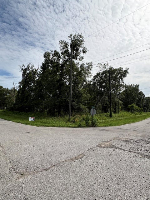 Vacant Land For Sale - 4017 County Road 4006<br/> Dayton, TX 77535