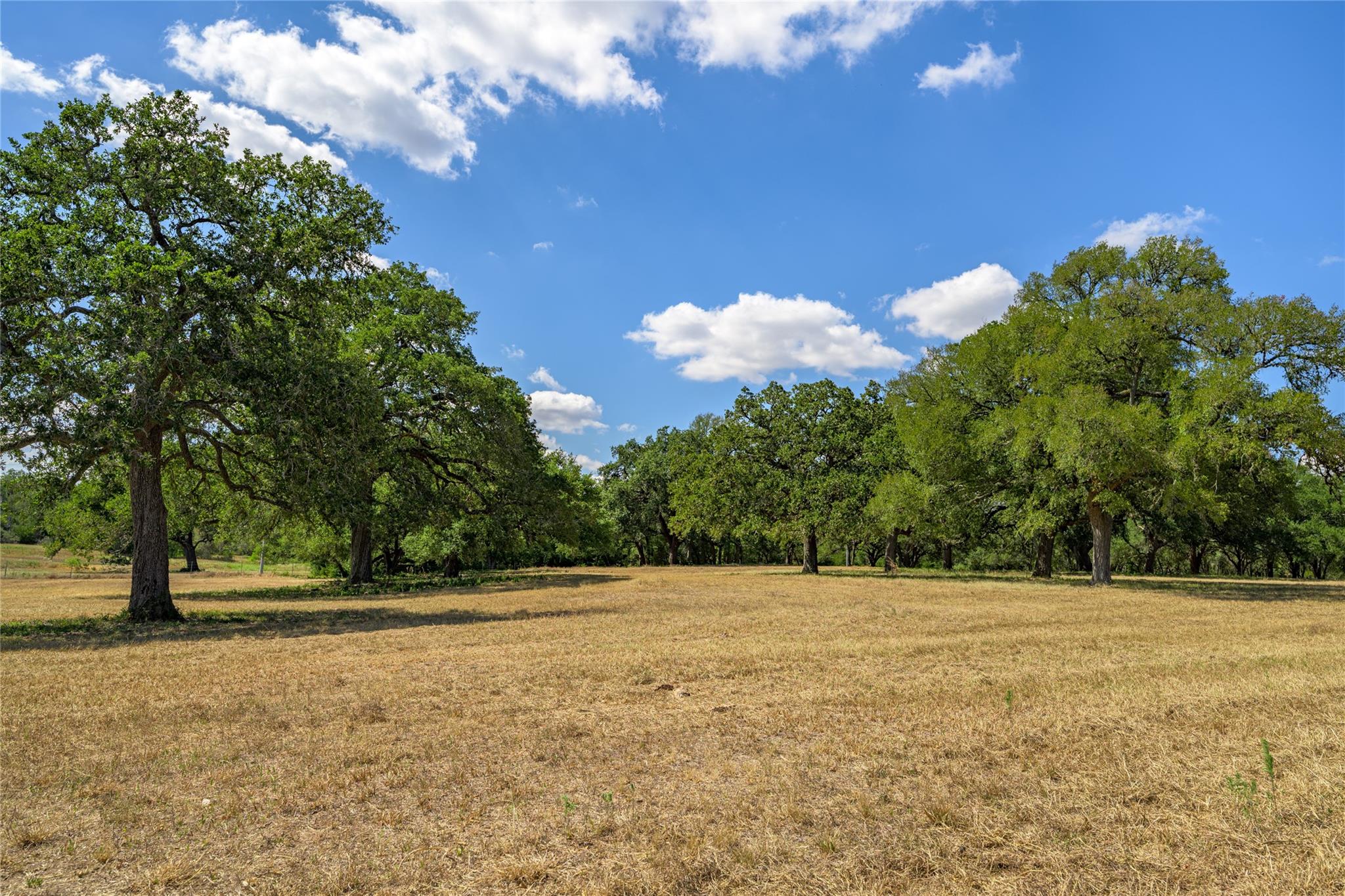 5327 State Highway 159