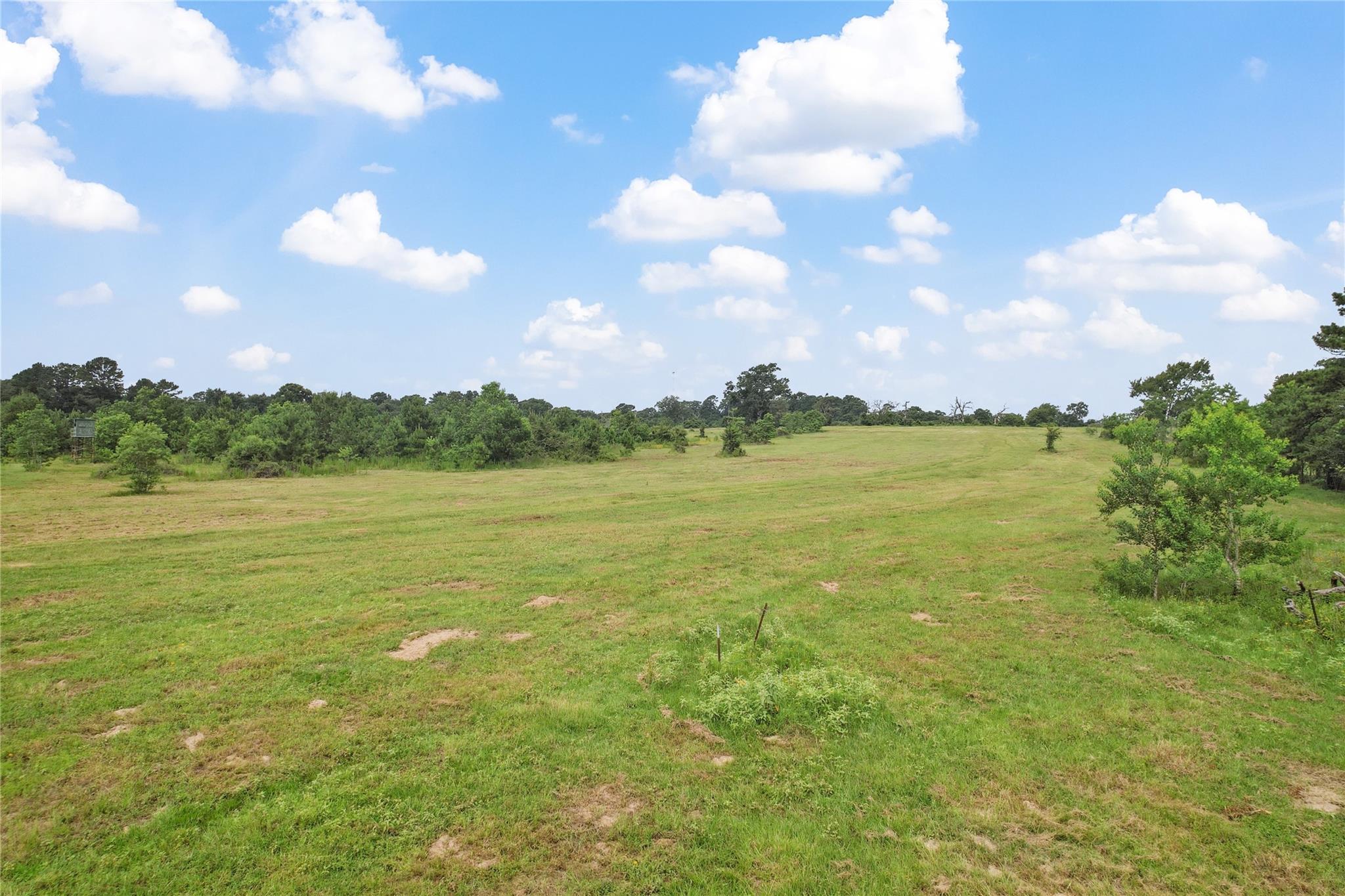 555 Scroggins Lane
