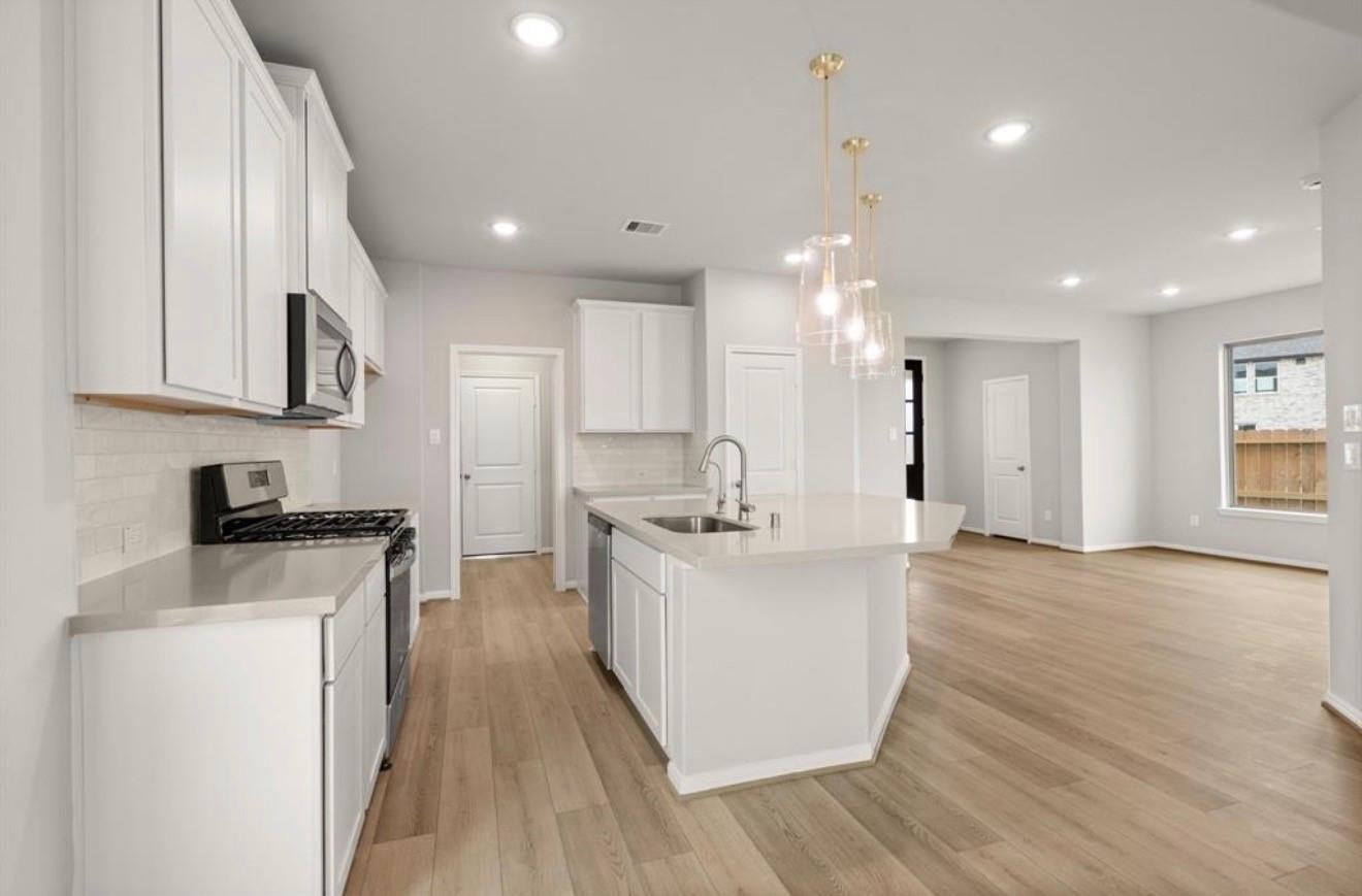 17063 Shimmer Ray Street