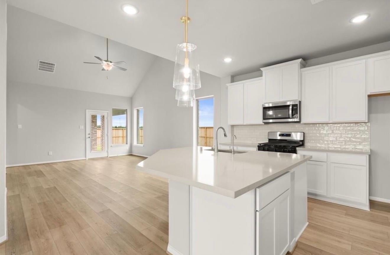 17063 Shimmer Ray Street