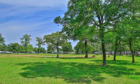 Tiny photo for 16909 Butera Road, Magnolia, TX 77355 (MLS # 10084287)
