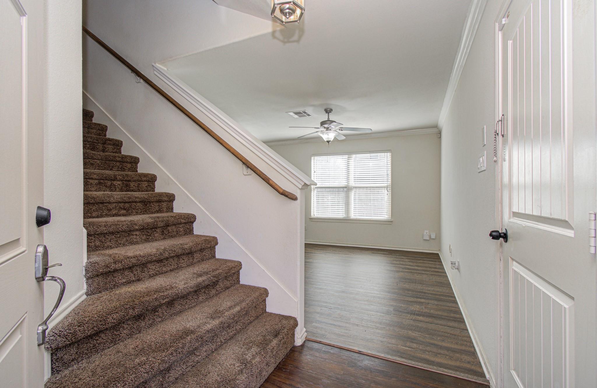 3439 Halle Trace Lane
