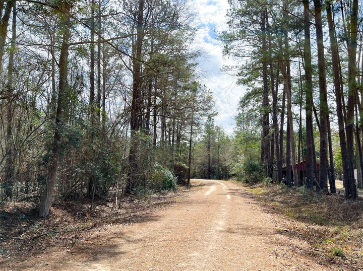 Photo 1 of 15 — 00000 Fm 1746, Town Bluff, TX 77660