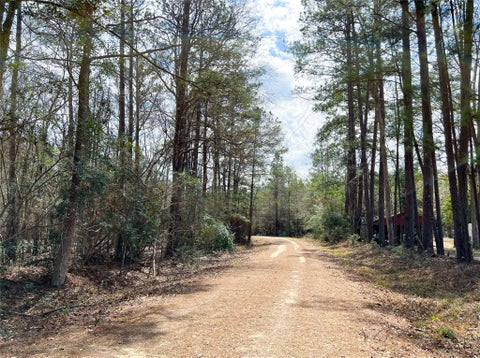 Photo of 0 Fm 1746, Town Bluff, TX 77660 (MLS # 65178792)