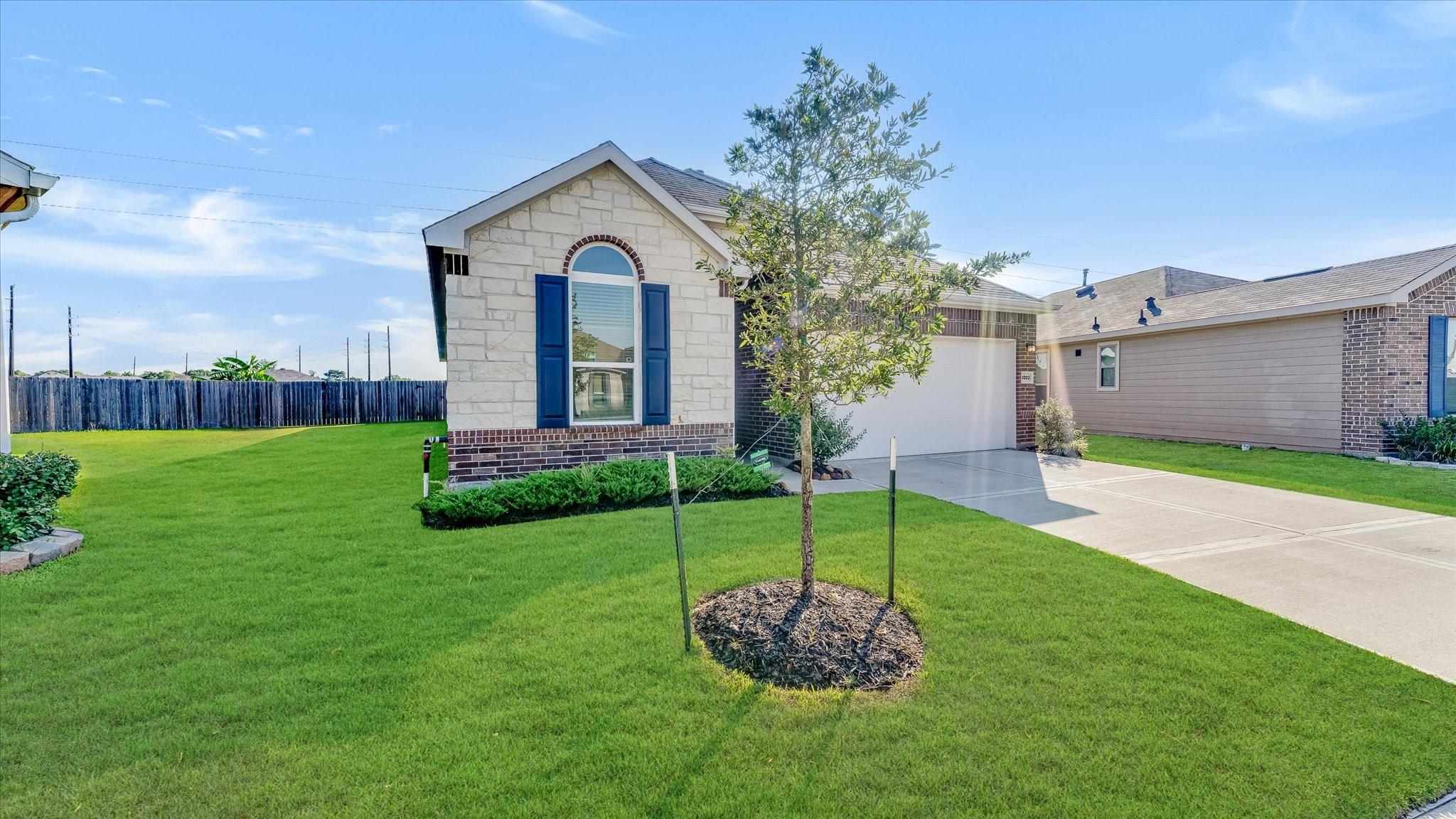 2003 Domeniko Drive