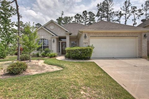 Photo of 10 Tillamook Court, The Woodlands, TX 77389 (MLS # 12787404)
