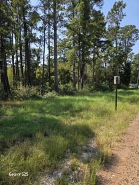 Vacant Land For Sale - 10978 Oak Forest Drive<br/> Plantersville, TX 77363