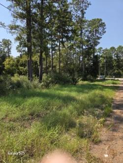 10978 Oak Forest Drive