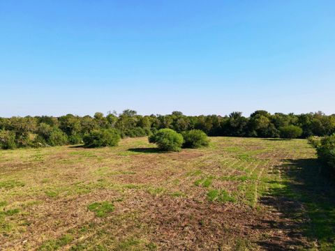 Photo of 0 Old Van Vleck Road, Bay City, TX 77414 (MLS # 55330784)