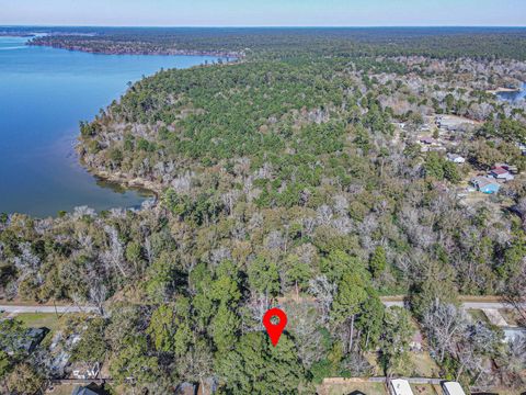 0 Elmore Willis TX 77318