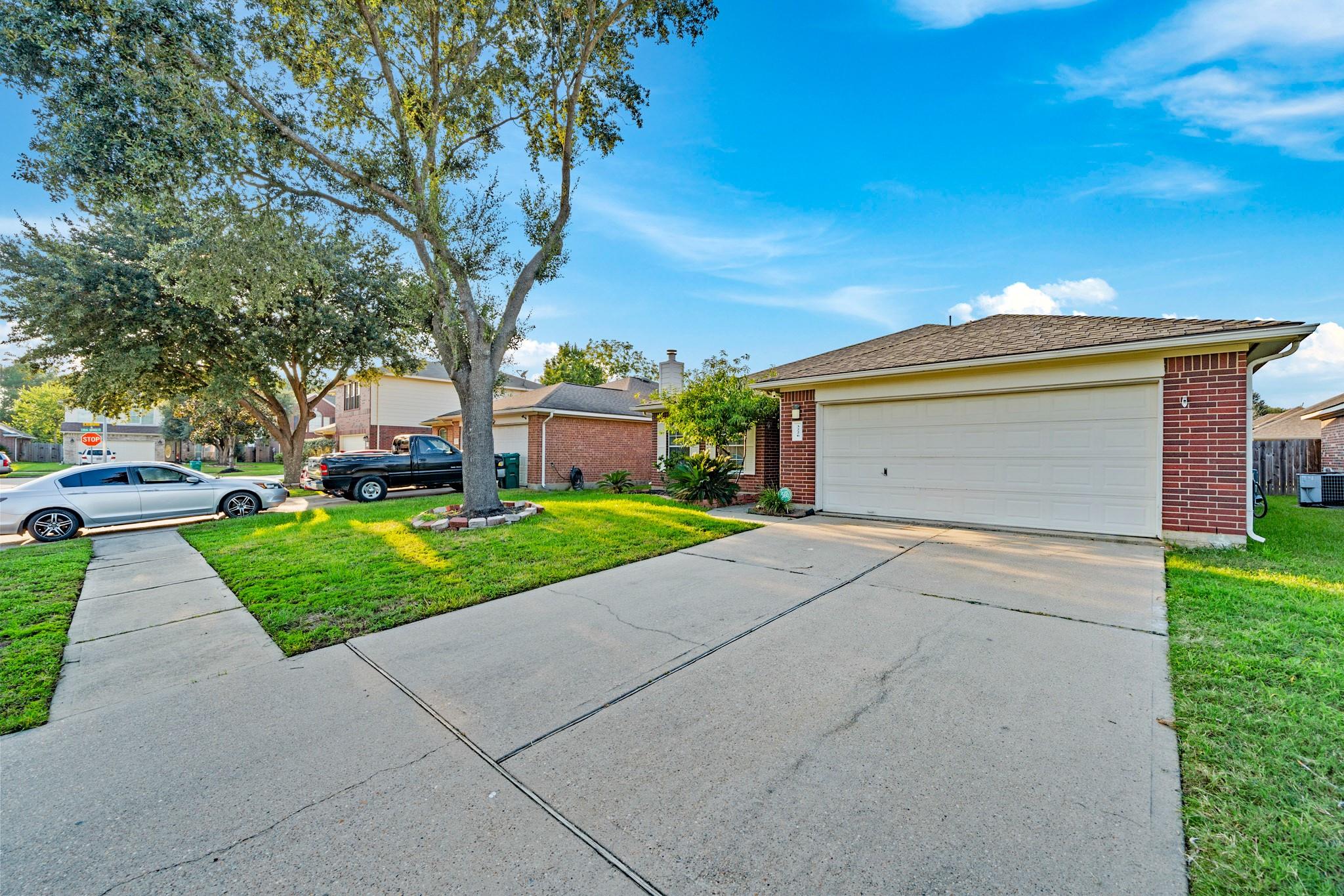 3226 Olivine Lane