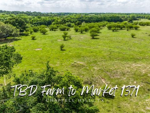 Photo of TBD Farm To Market 1371, Chappell Hill, TX 77426 (MLS # 86288710)