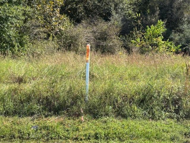 12903 Highway 59