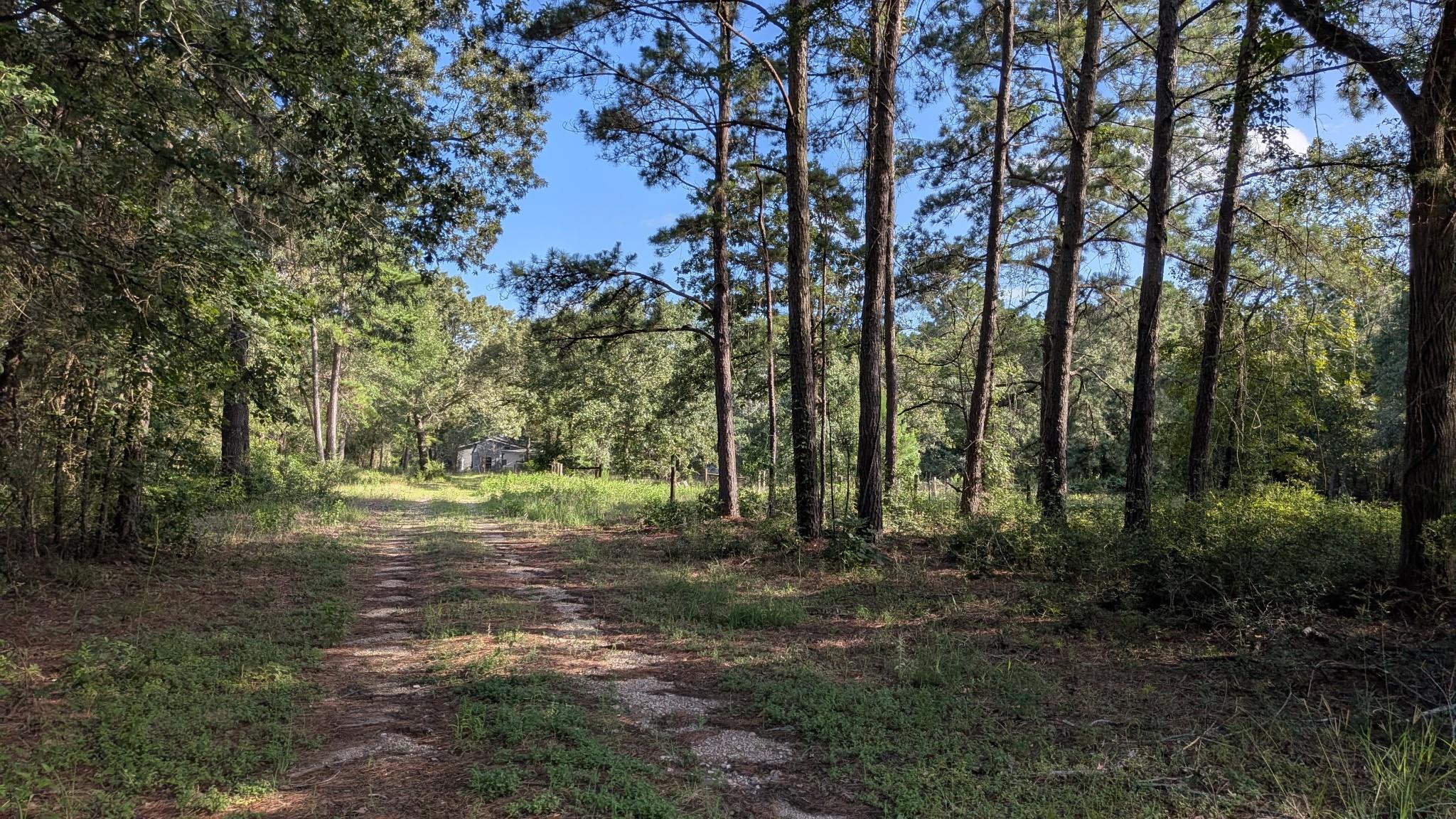 3948 Dogwood Trail