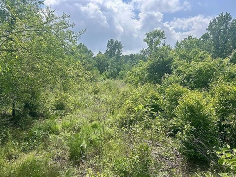 Photo of 13 County Road 175, Nacogdoches, TX 75946 (MLS # 26829755)