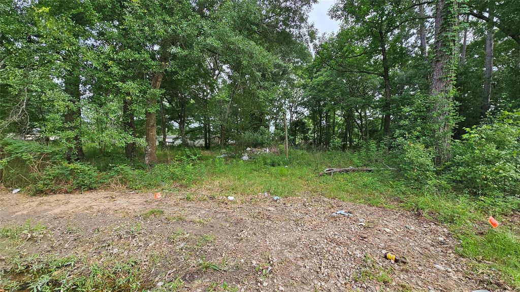 Photo of 26750 Peach Creek Drive, New Caney, TX 77357 (MLS # 49347751)