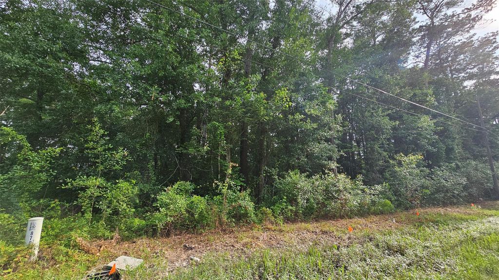 Photo of 26750 Peach Creek Drive, New Caney, TX 77357 (MLS # 49347751)