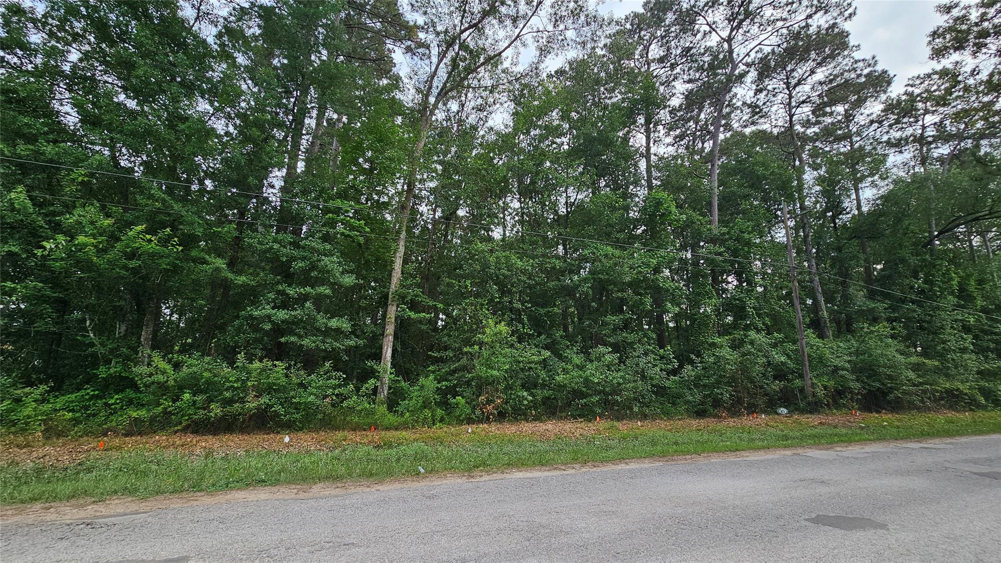 26750 & 26698 Peach Creek Drive