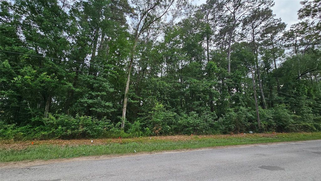 Photo of 26750 Peach Creek Drive, New Caney, TX 77357 (MLS # 49347751)