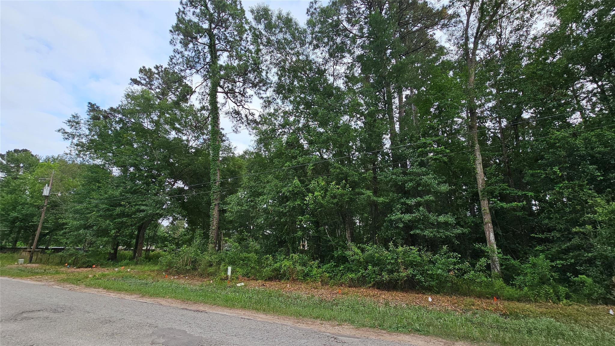 26750 & 26698 Peach Creek Drive
