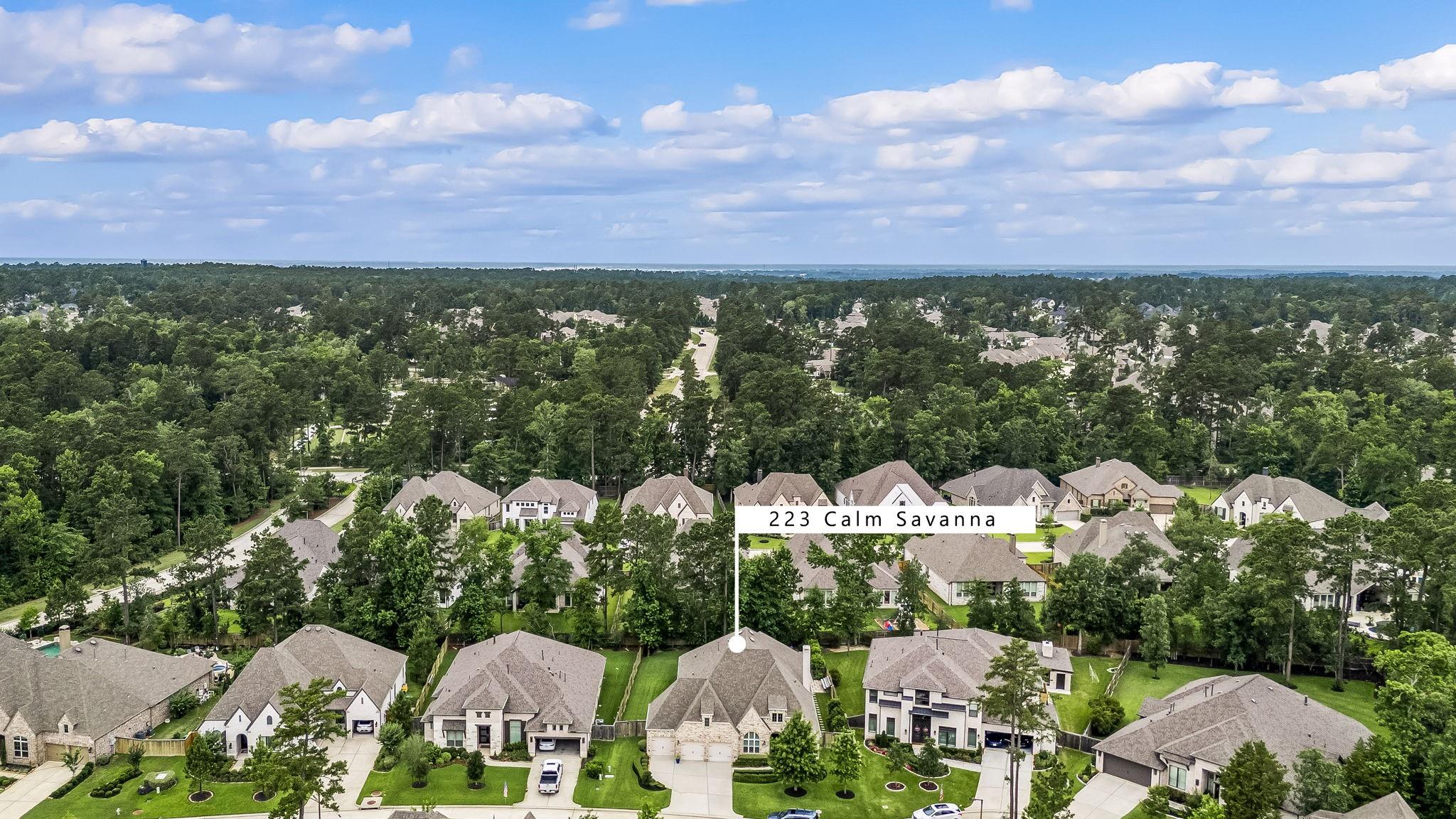 223 Calm Savanna Court