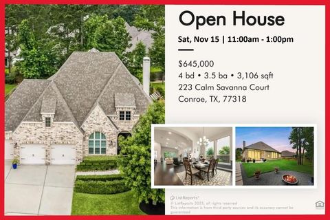 223 Calm Savanna Court Conroe TX 77318