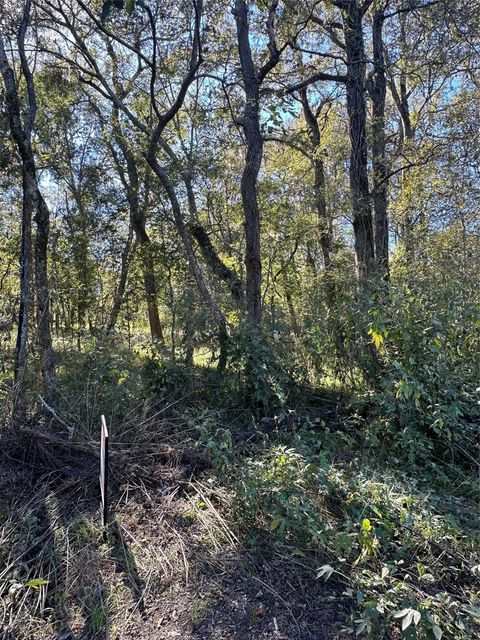 0 Oak Forest Drive Guy TX 77444