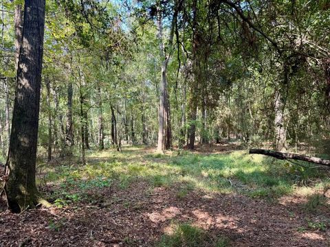 Photo of TBD Stonetown Road, Beaumont, TX 77713 (MLS # 25702244)