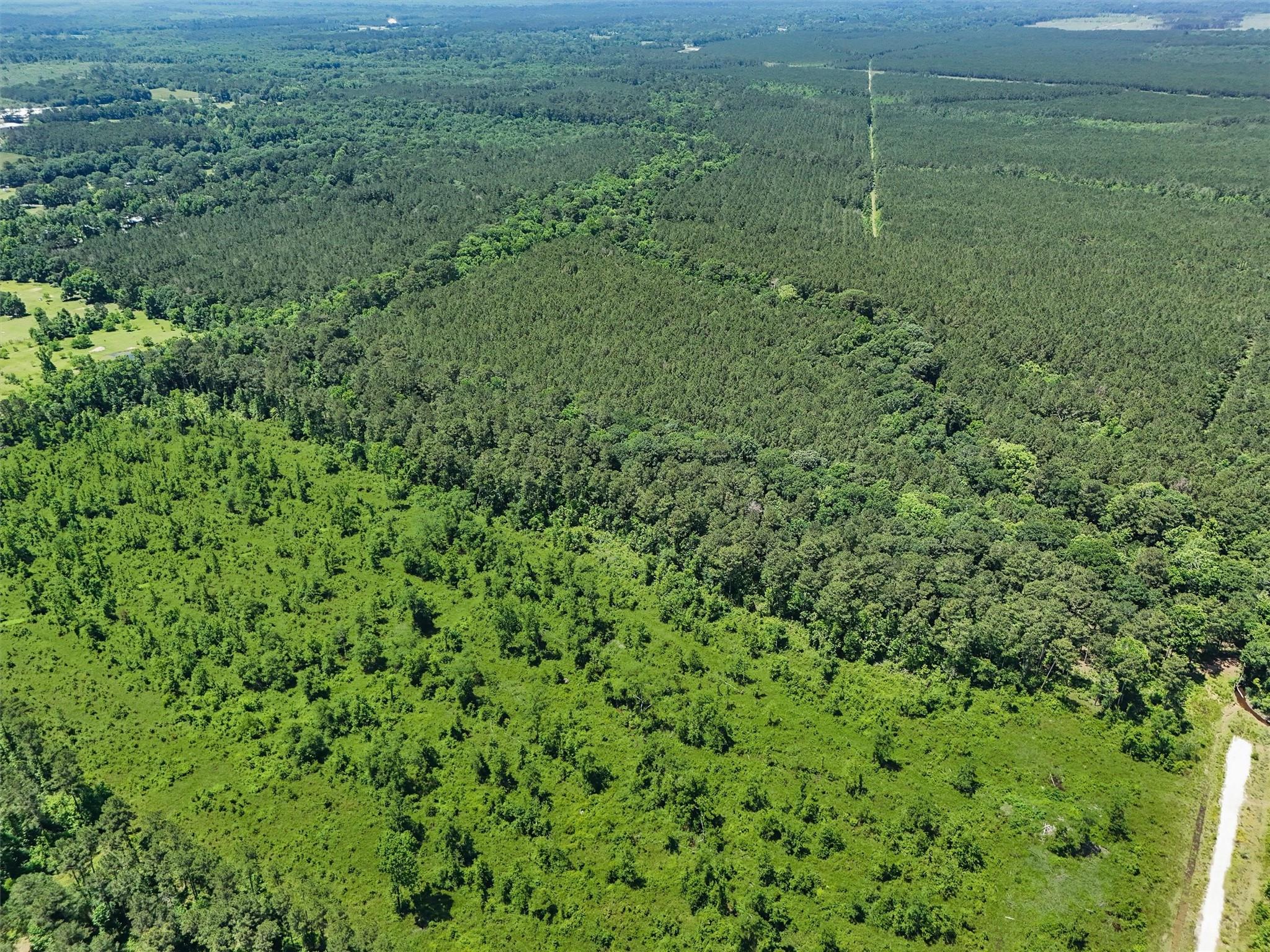 TBD County Road 2235