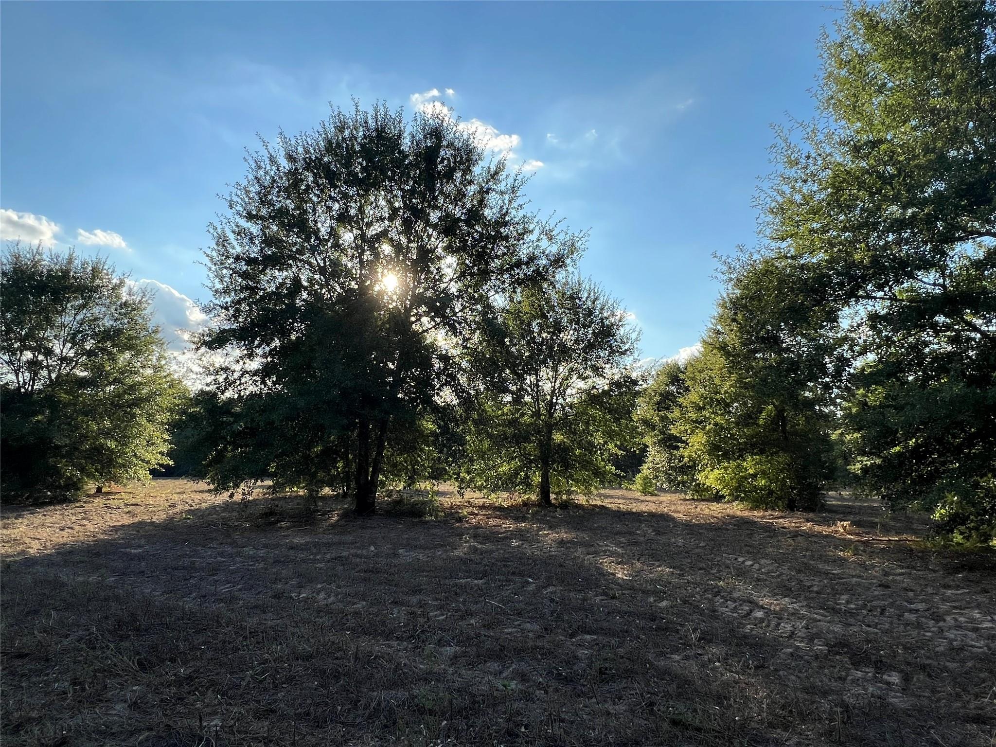4604 Highway 105 E