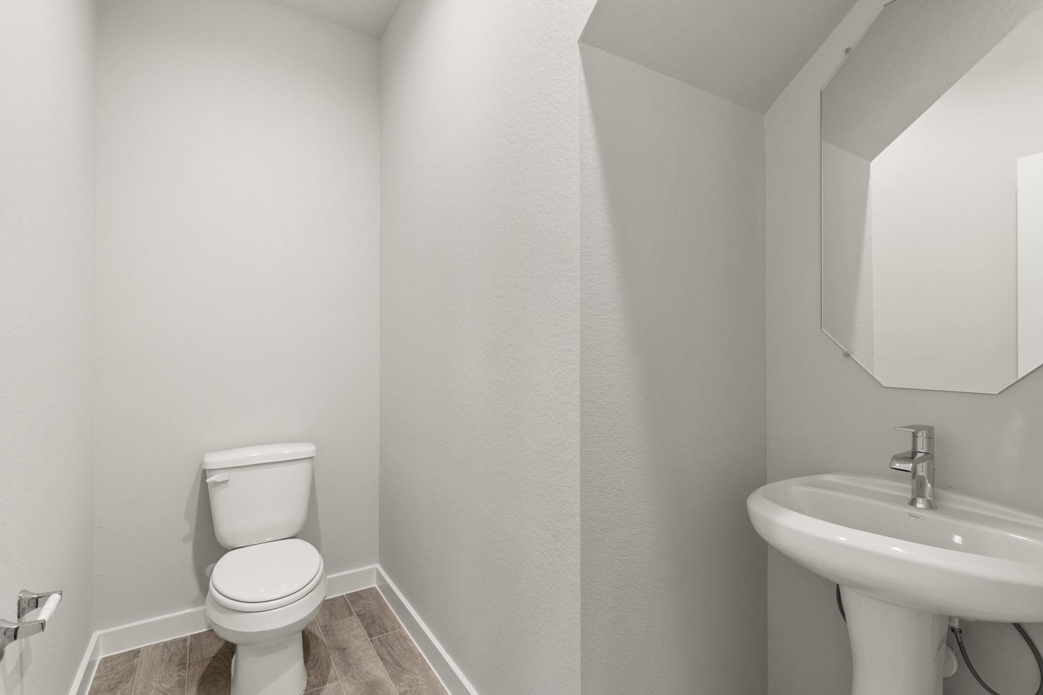 23214 Bunya Pine Court