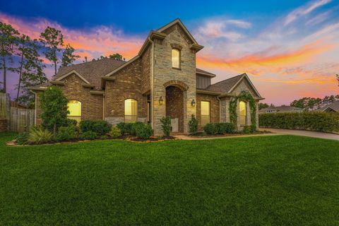 Photo of 12615 Luger Lane, Magnolia, TX 77354 (MLS # 36543216)