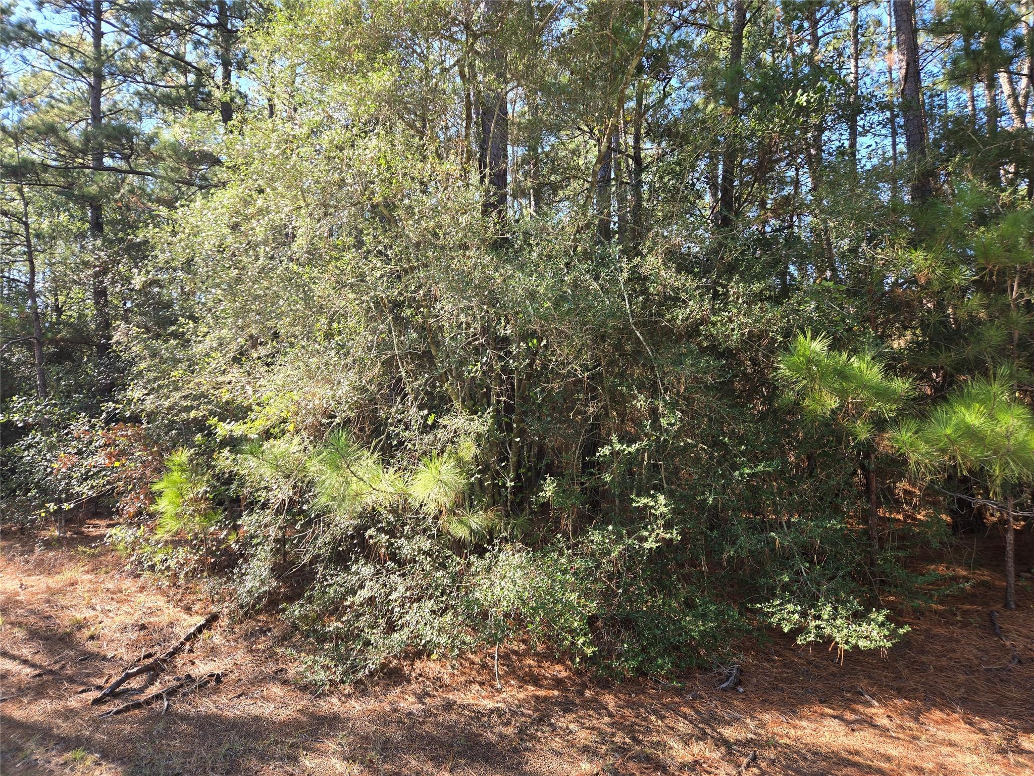 0 Cedar Ridge Street