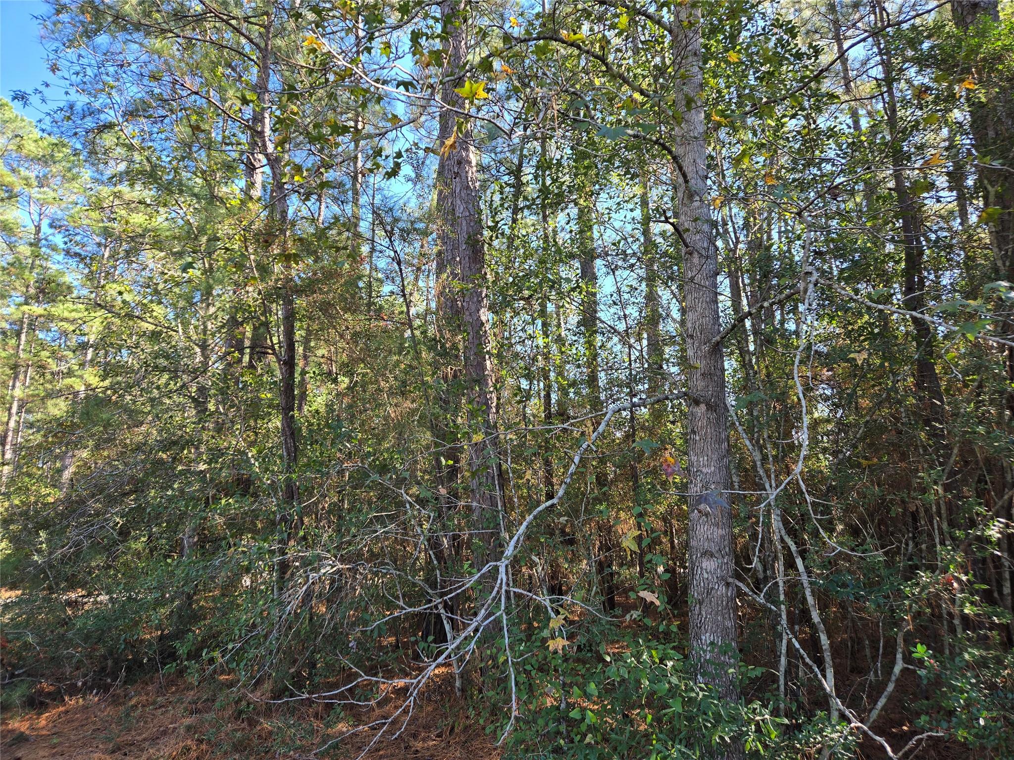 0 Cedar Ridge Street