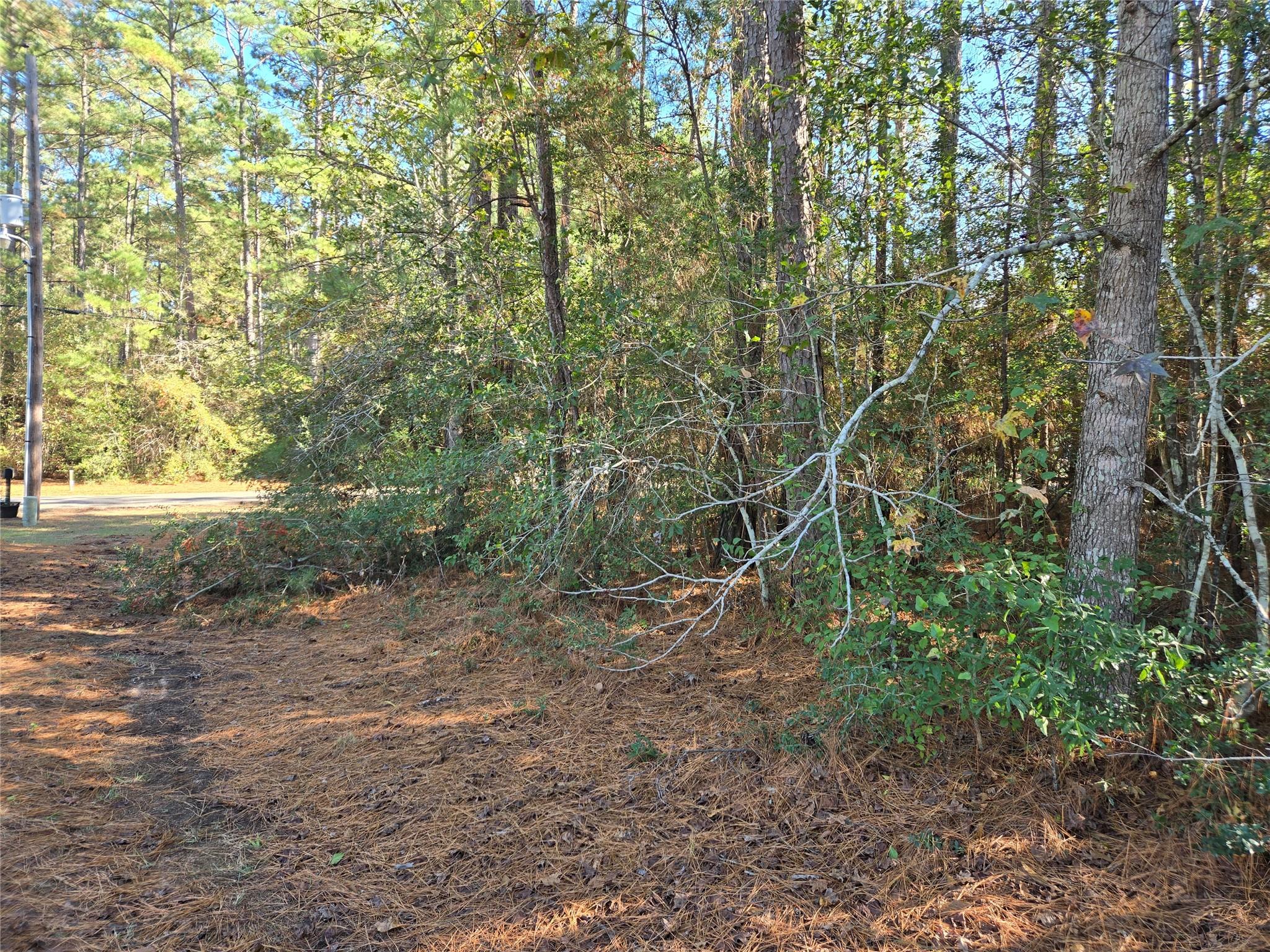 0 Cedar Ridge Street