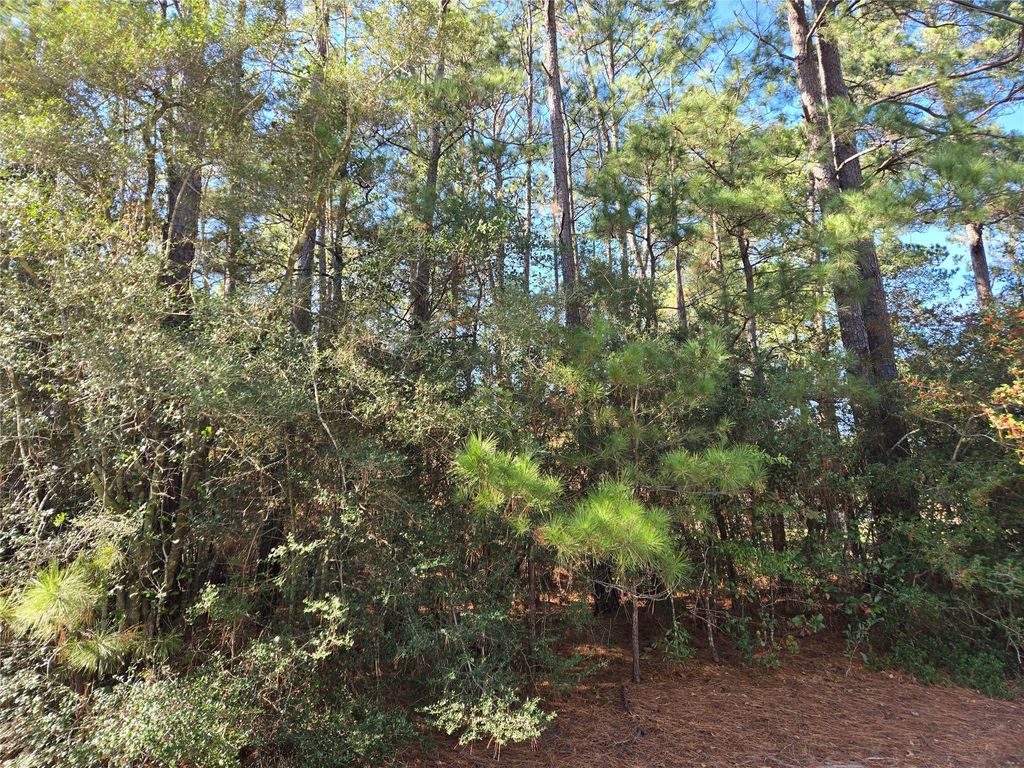 Photo of 0 Cedar Ridge Street, Magnolia, TX 77354 (MLS # 20319280)