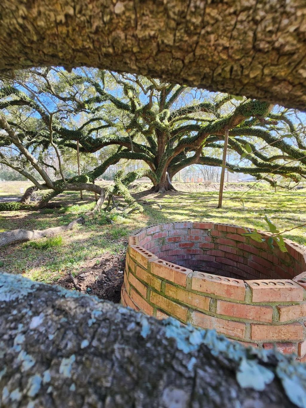 Photo of 25605 Fm 2100 Road, Huffman, TX 77336 (MLS # 55361257)