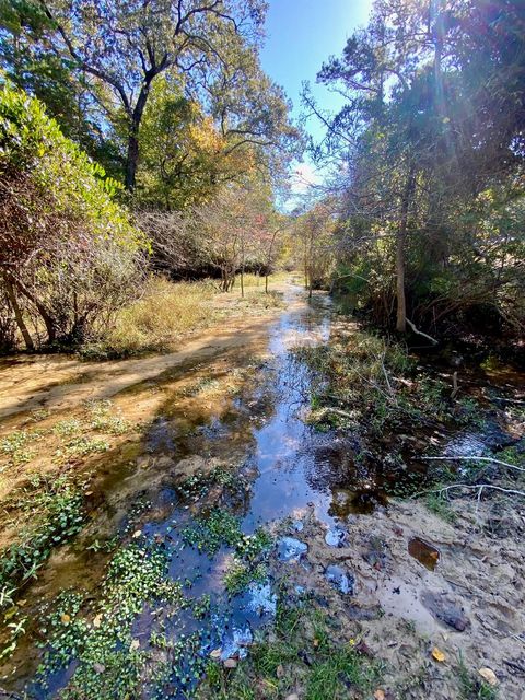 Photo of 485 Private Road 6142, Grapeland, TX 75844 (MLS # 14475601)