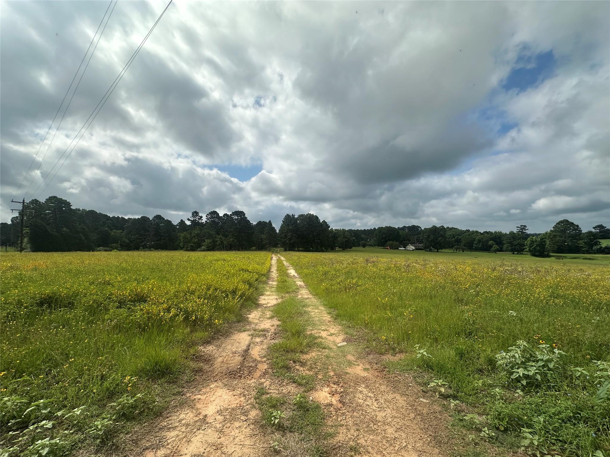 11.78AC Cr 223
