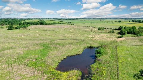 Vacant Land For Sale - 276+- AC Fm 977<br/> Leona, TX 77871