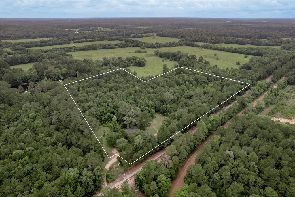 Photo of 347 Shelby, Livingston, TX 77351 (MLS # 58074458)