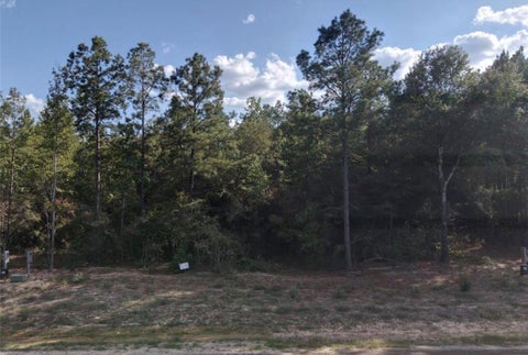 Photo of 126 Exploration Road, New Waverly, TX 77358 (MLS # 96210640)