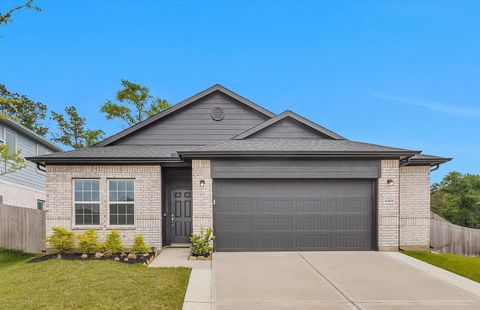 Photo of 30408 Crystal Stream Lane, Magnolia, TX 77355 (MLS # 10009572)
