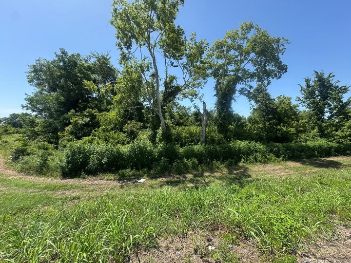 Photo 1 of 18 — TBD E Us Highway 59 Feeder, Hungerford, TX 77448