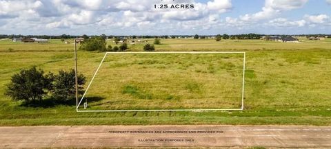 Photo of 348 Brahman Trail, Angleton, TX 77515 (MLS # 80249670)