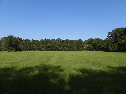 Vacant Land For Sale - 18855 Bethel Rd Rd<br/> Richards, TX 77873
