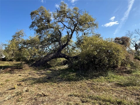 Vacant Land For Sale - County Road 319<br/> Brazoria, TX 77422